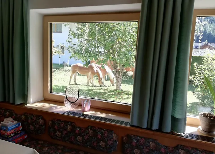 Maison d'hôtes Nigella 4*