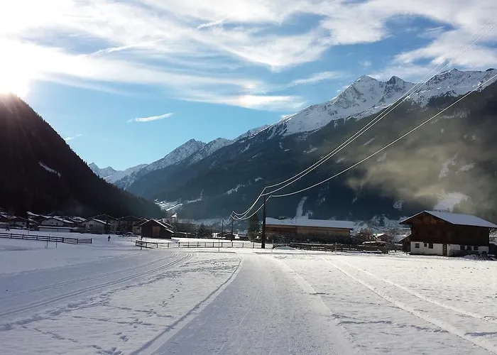 בית הארחה Nigella
