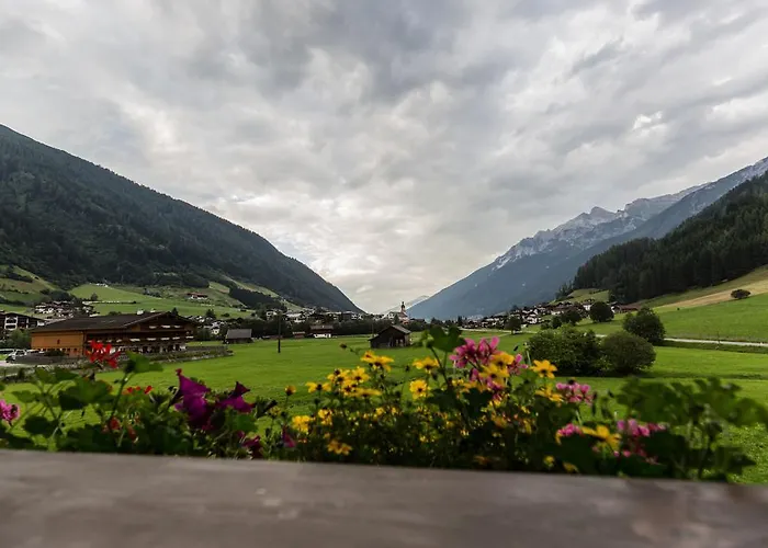 Nigella ניוסטיפט אים סטובאיטל